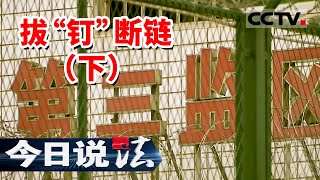 《今日说法》“捕鸟网”背后的秘密：一次夜巡牵出跨省大案 160名警力同时出击 20251121 | CCTV今日说法官方频道