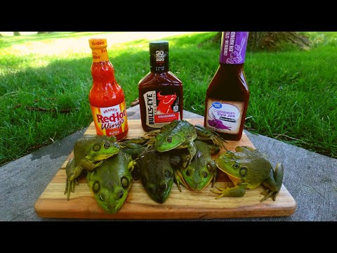 BBQ Bullfrog Catch n’ Cook! 3 DELICIOUS Sauces!