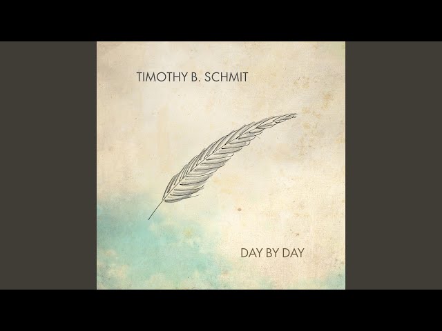 Timothy B. Schmit - Mr. X