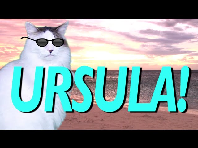 HAPPY BIRTHDAY URSULA! - EPIC CAT Happy Birthday Song