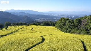 3つの被災……そして復興　東日本大震災・福島原発事故から10年