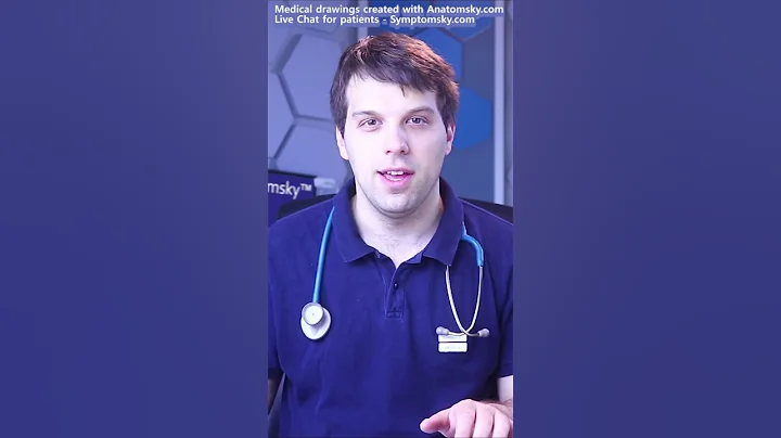 Internal Hemorrhoids And External Hemorrhoids - DayDayNews