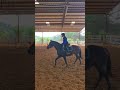 Horse riding with jewell plf equestrian canter pony horseriding equestrianlifestyle