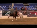 Titans 2018 cactus reining classic open derby run