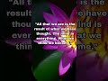 Powerful Buddha Quotes on your life 🙏 #quotations #attitude #buddha #quotes #inspirational