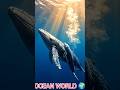 May 5, 2026How Do Whales Give Birth? Shocking Truth Revealed!"#whale#whalebaby#marinelife#whalebaby