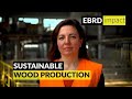 Sustainable wood production in Ukraine