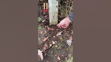 Which type of fence post is the best?
