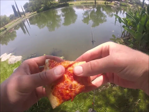 Can I catch a catfish on pizza?! Challenge video No.1