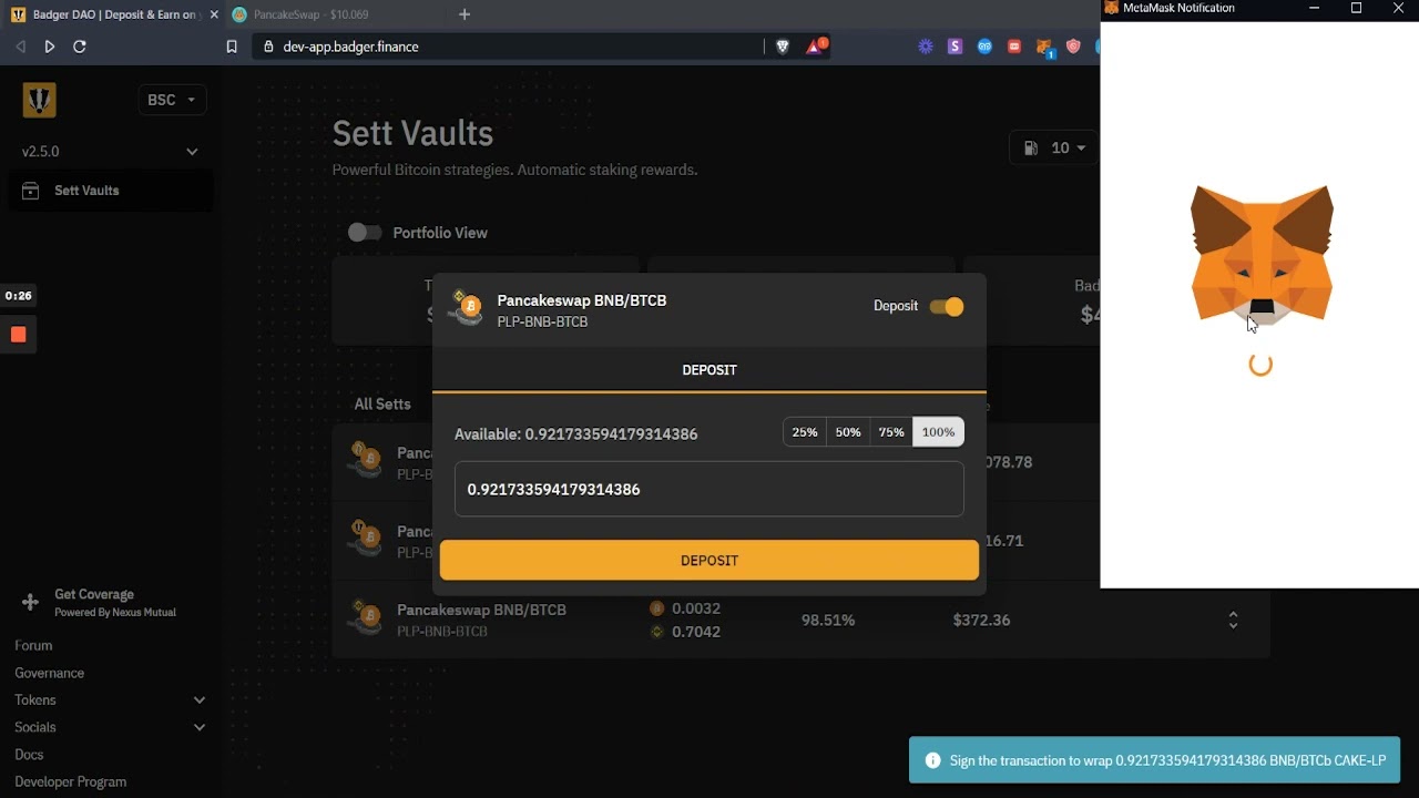 How to Use the Binance Smart Chain Sett Vaults