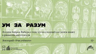 «Ум за разум». Лекция Андрея Фабера о том, что исследователи мозга знают о развитии интеллекта