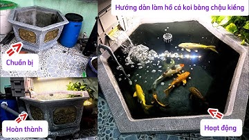 Hướng Dẫn Làm Hồ Cá Koi Bằng Chậu Kiểng 300l Chi Tiết Hiệu Quả Dễ Làm | Nhân Vlog 1989.