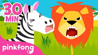 Hakuna Matata y más canciones de animales | +Recopilación | Pinkfong Canciones Infantiles