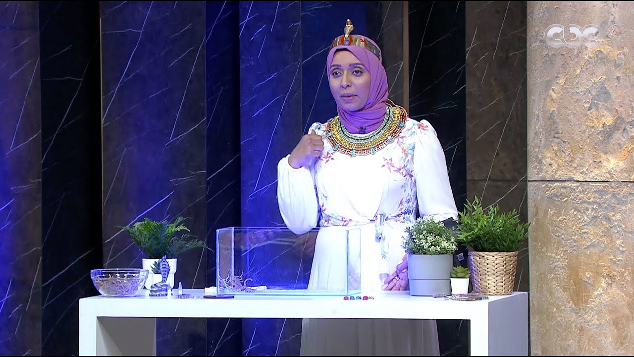 مصر Shark Tank| عملت مشروعها من سم العقرب للاستفادة منه.. تفتكروا هتقدر تاخد التمويل لمشروعها؟