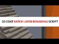 3d coat batch layer renaming script