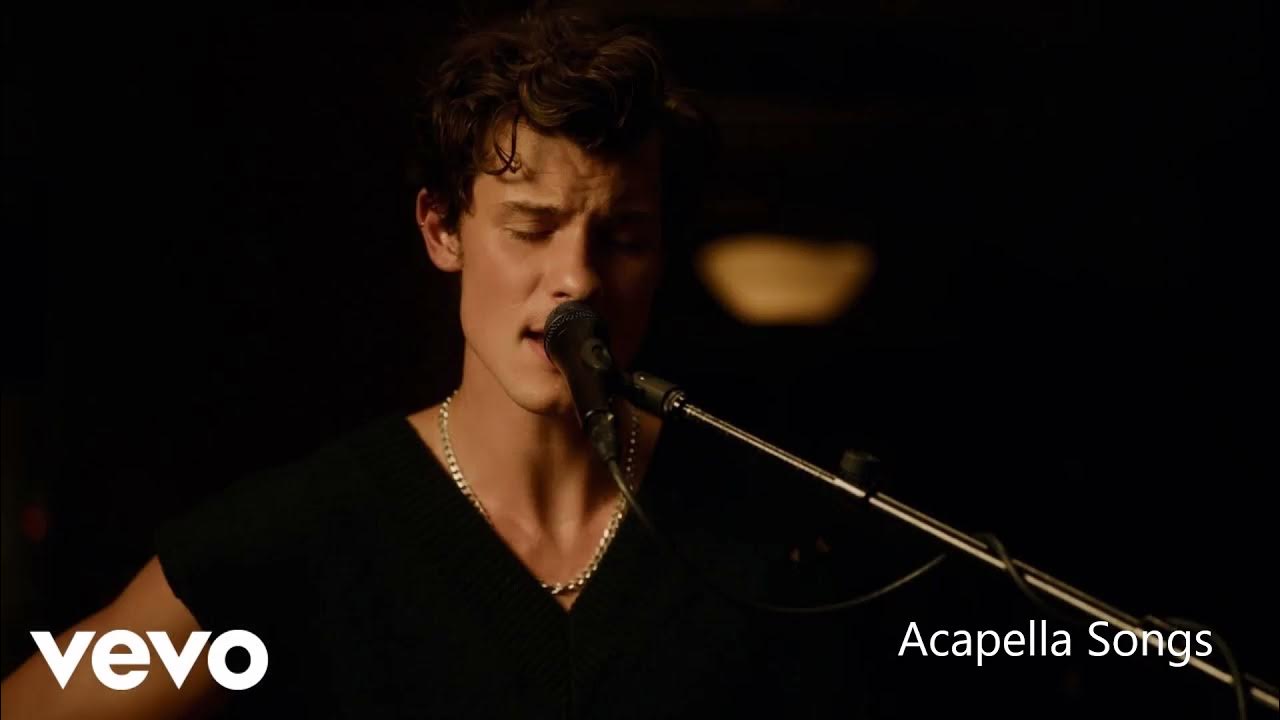 Shawn Mendes Happier Than Ever (Billie Eilish Cover) in the Live