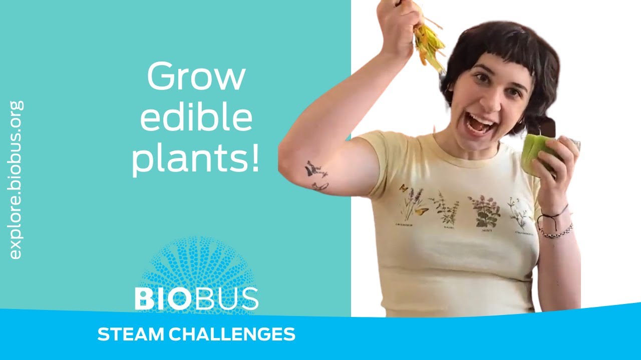 BioBus STEAM Challenges | Grow edible plants!