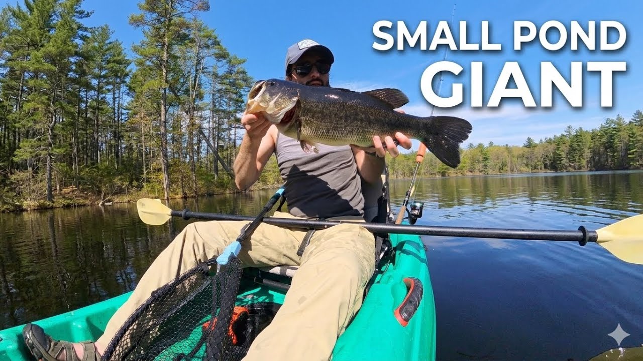 Hidden Pond GIANT BASS! (5lb Maine Lunker Surprise)