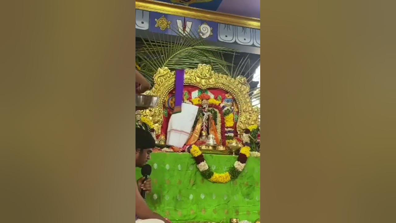 shortvideo-shri-vrindavan-bihari-phoolon-ki-varsha-ho-rahi-hai-youtube