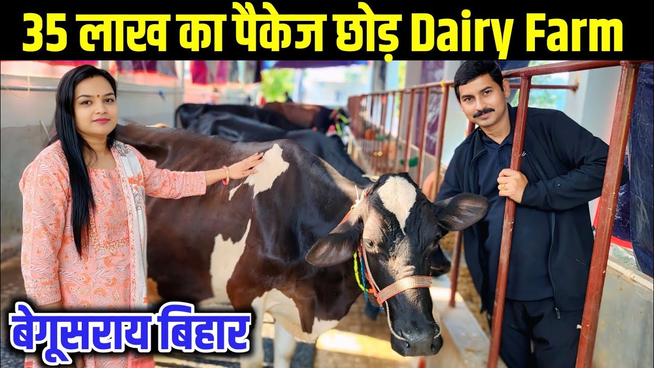 Оставьте пакет в размере 35 лакхов рупий и откройте молочную ферму в деревне. Молочная ферма в Бе...