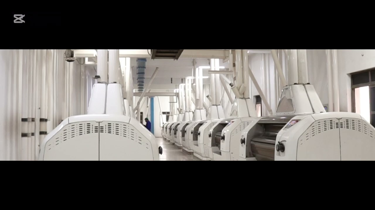 Dummer Flour Mills Faisalabad 