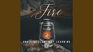 Tranquil Study with Firelight