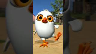 Pollito Pio Blanco Bailando En Diferentes Efectos