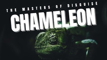 Chameleon: The Master of Disguise