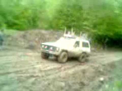 სარკის გზაზე (2)