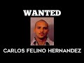 Wanted  carlos felino hernandez  california