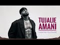 Diamond Platnumz Amani Official Music Audio 