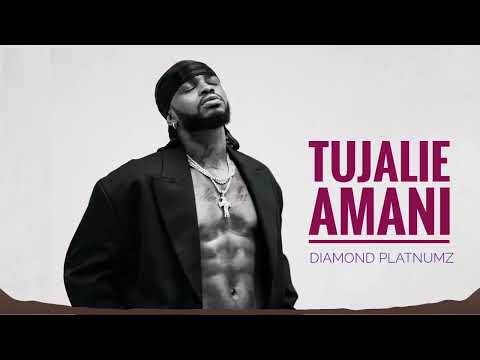 Diamond Platnumz Amani Tanzania Official Video