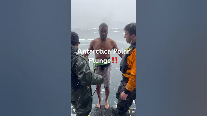 Polar Plunge in Antartica‼️ #antartica #polarplunge #cold