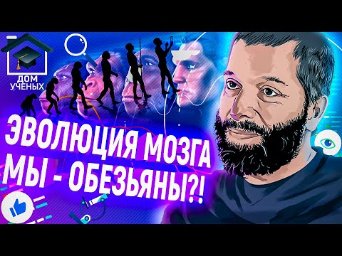 ФИЛИПП ХАЙТОВИЧ. ОТКРЫТИЯ