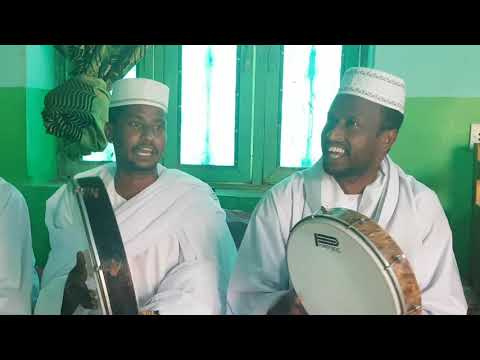 أبناء الشيخ كمال الدين كابتن بنات الريح محمود الضعيف