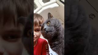 Культурный Грей😺