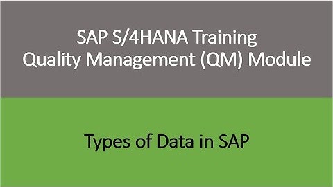 Video 04 - SAP S/4HANA Quality Management (QM) module training - Types of data in SAP.