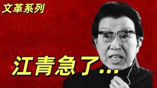 文化大革命198，叶剑英，邓小平是新时代的司马懿，哄骗华国锋。江青大骂专案组。打倒四人帮以后的上海市委，想两头占便宜的徐景贤最后只能以失败告终#中共 #文化大革命 #文革#邓小平#叶剑英 #江青
