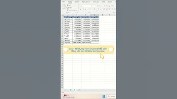 Mẹo Sử Dụng Hàm Subtotal Để Tính Tổng Khi Lọc Dữ Liệu Trong Excel #Hoccungtiktok #VnetMedia #BookTok