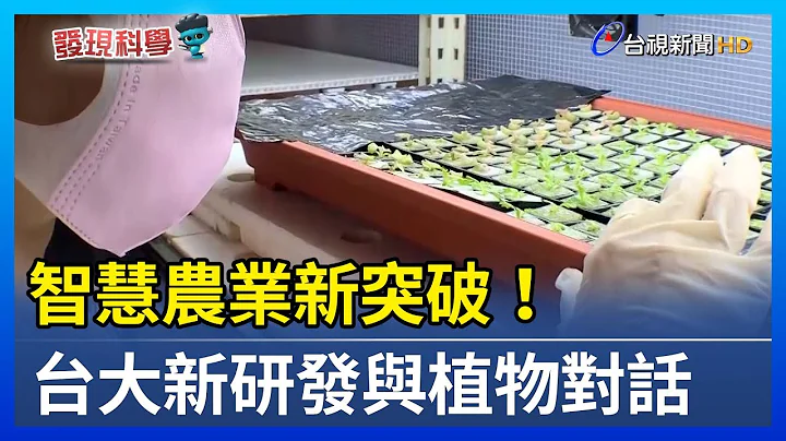 智慧農業新突破！ 台大新研發與植物對話【發現科學】 - 天天要聞