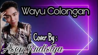 Wayu Colongan - Dian Anic Cover Asep Rudy