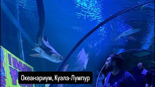 Океанариум и Куала-Лумпур, Малайзия 🇲🇾