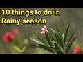 10 tips to save your plant in monsoon :: मॉनसून में पौधों को कैसे बचाए