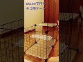 DAISOのみでネコ用ケージを作ってみた！