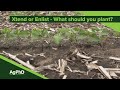 Xtend vs Enlist Soybeans (From Ag PhD Show #1130 - Air Date 12-1-19)