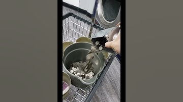 I finally bought a laundromat. 4 Days of profit Part 1 (Part 2 posted immediately)