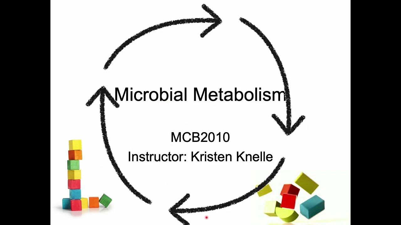 Introduction to Microbiology Microbial Metabolism YouTube