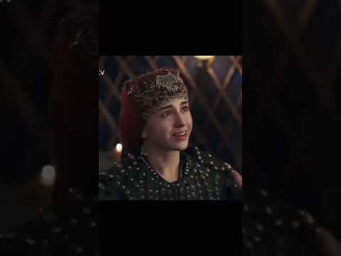 سنشتاق لعلاقة الاوزاسيا