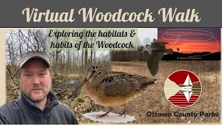 Virtual Woodcock Walk