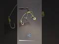 Great tip for fishing with a four hook set#Tutorial #fishingtips #fishingknot #fishing